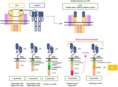 Mini review: Advances and challenges in CAR-T cell therapy: from early chimeric antigen receptors to future frontiers in oncology